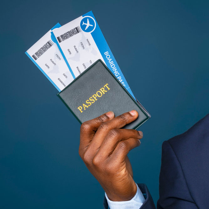 Visa processing
